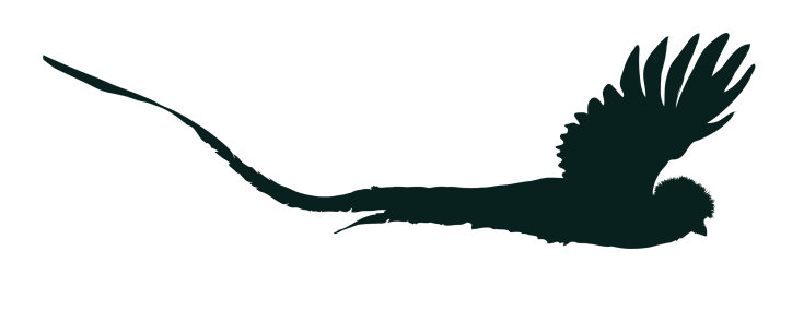 dark green quetzal flipped